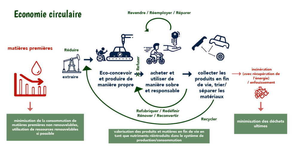 L'économie Circulaire | Modèles D'affaires Circulaires Et Collaboratifs